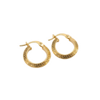 Pair of gold hoop earrings on a white background